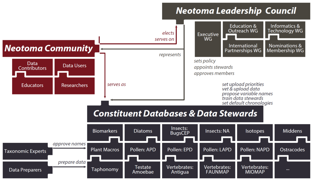 Graphic depicting the structure of the Neotoma community, leadership council, and data structure