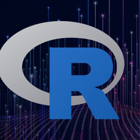 R Logo: A bold royal blue R over a gray oval shape